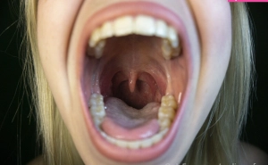 300px_codi-vore_552.webp