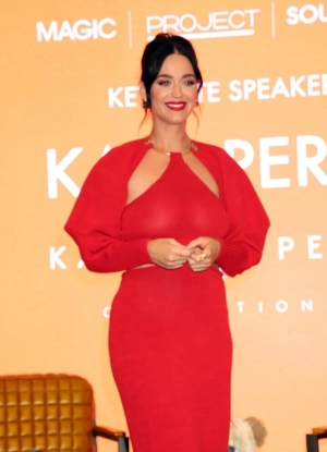 300px_katy-perry_540.webp