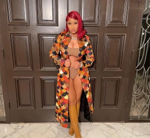 300px_nicki-minaj_67.webp